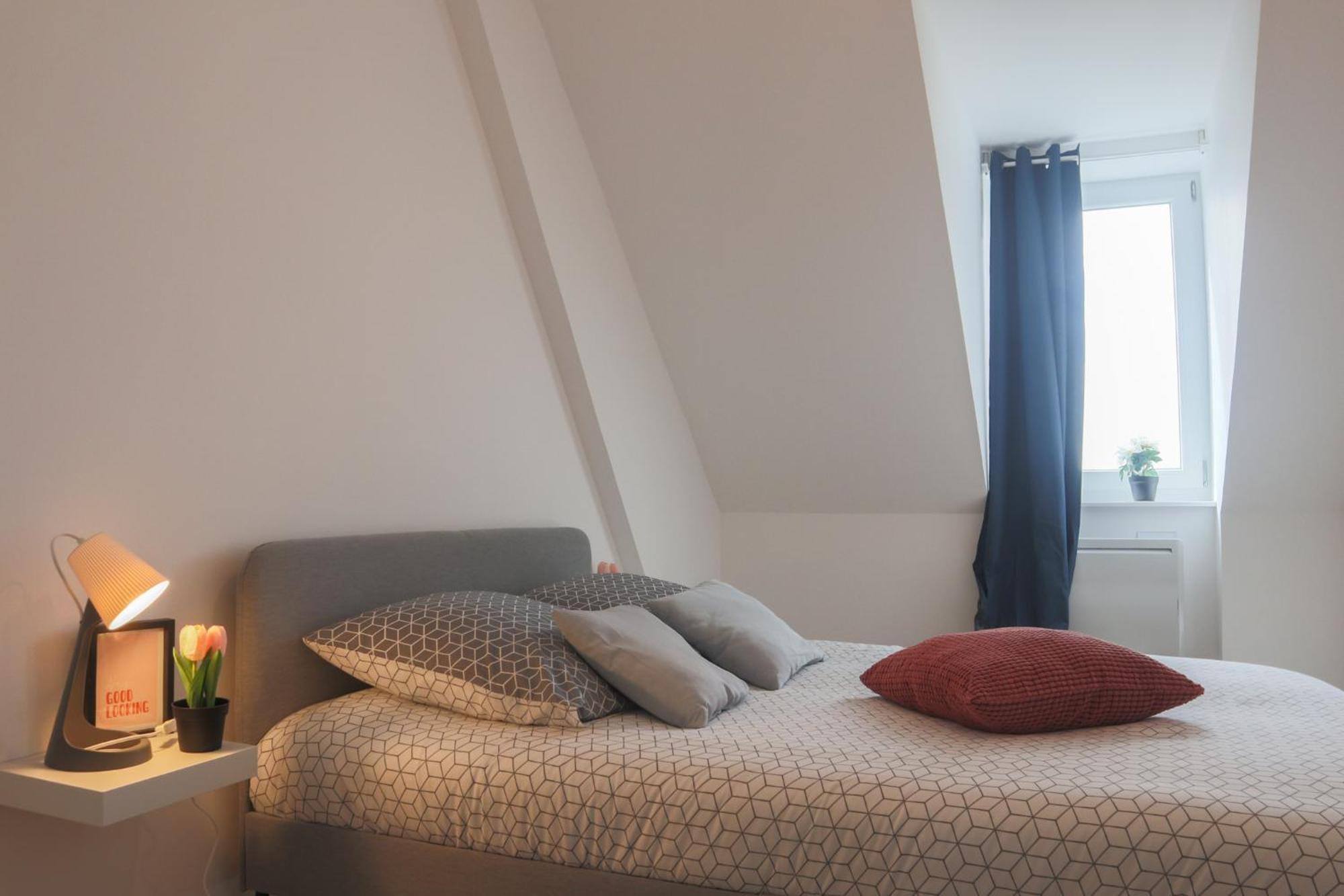 דירות Le Sunny, Mulhouse Centre מראה חיצוני תמונה