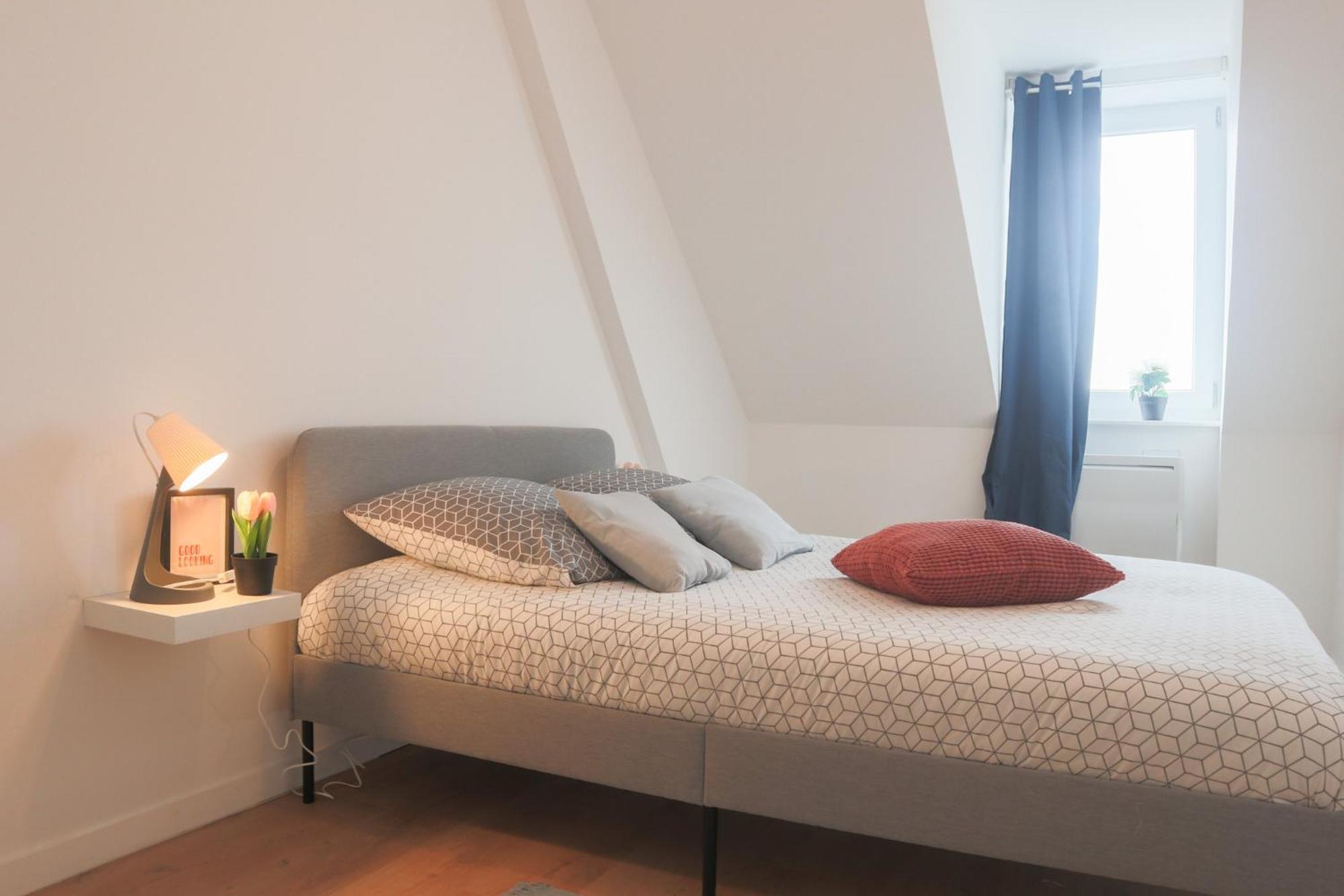 דירות Le Sunny, Mulhouse Centre מראה חיצוני תמונה
